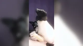 Pounded her juicy booty with a toy