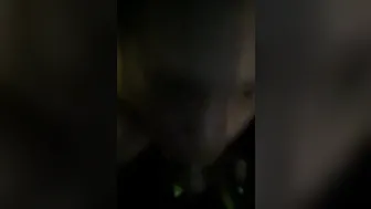Fun time play time demon time 