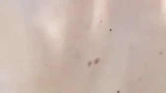 Bi-Curious plowed session with a horny sexy and 2 studs