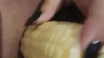 Chubby dripping cunt banged with corn rough