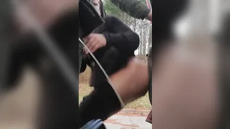 Pulled over on the highway to pissing tease and gargle some peeing