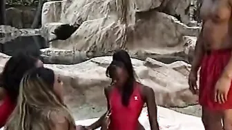 Anal party with Hot african girls
