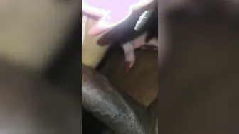 Hispanic plays with rose vibrator while doing anal