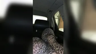 Leopard Encasement inside Vehicle