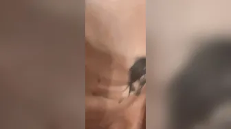 Submissive Bimbo Into Training getting Throat Fuck HARDCORE Then FACE-BANGED | SLAVE-mom Amateur Lovers