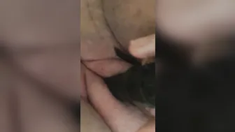 Combing the cat in