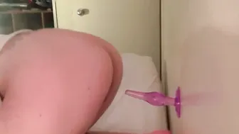 Suction cup anal toy
