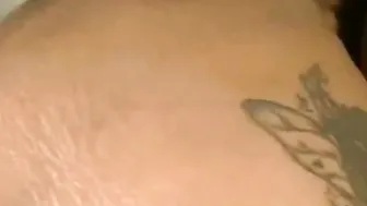 BBW Compilation
