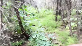 Outside sex into the woods into Alaska