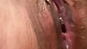 Cum play with this kitty
