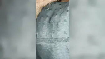 African dick sucker