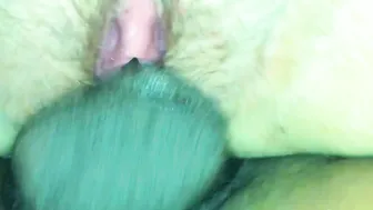 Interracial Doggy Style Squirt