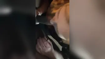 Decent bj from white thot