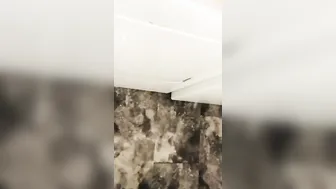 Peeing on top of the washing machine