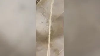 Peeing inside work toilet