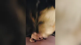 step sis wanted to suck my dick