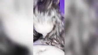 Rica chupada de verga
