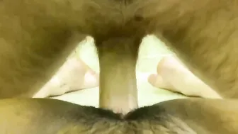 Tight Fat little Hispanic twat getting fuck by BWC