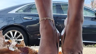 Ex Heels Shoeplay one