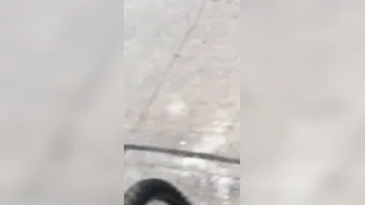 MUST WATCH african huge ass jeans