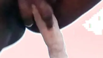 Close up vagina penetration