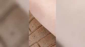 chick Pee outside four