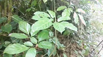 cuando llevas a tu cuñada a la montaña y de plano te