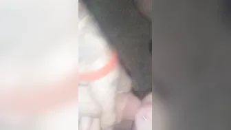 Hotwife Sunshyne blows Texass bwc public abandoned house and takes facial