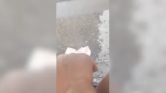 Cougar peeing