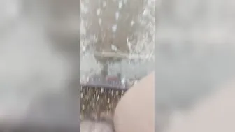 Cougar peeing