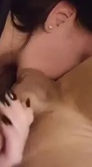 AlyModel
