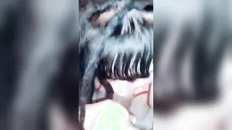 Steady Sucking Off That big black dick
