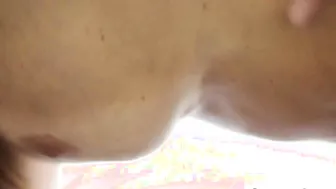 cougar plowed on couch