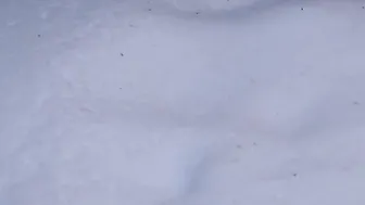 The best pre-Christmas piss on white snow on a frosty winter day Amateur compilation with golden shower from the bushy