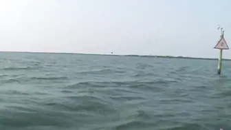babe Nude Chicks Peeing Off The Back Of Our Boat