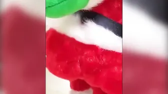 I wish all my fanz a merry Christmas with a crazy sexy surprise