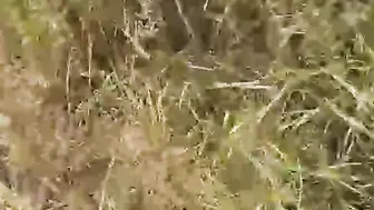 She blows dick into outdoors fucks all the cum inside her mouth. Stepbrother