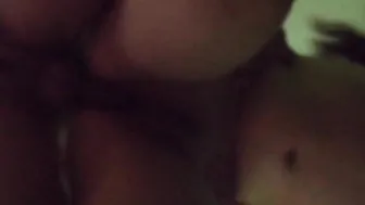 LE ROMPO EL CULO DE PERRITO
