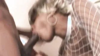 Too porn video – She has a liquor license too
