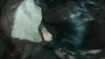 A outdoors park hoe blows my nuts and swallows cum