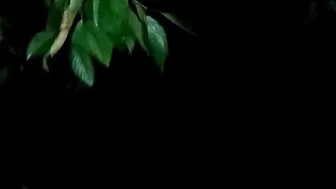 Camping into the forest at night was fun