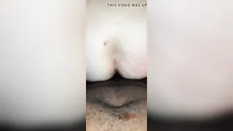BBW Lorie hard doggy