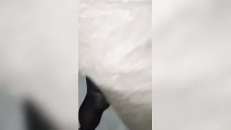 Finger Bang my nude ex-wife outdoors into the blizzard