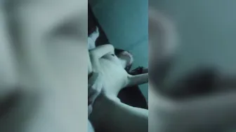Fit beauty grind her clitoris with a dick into her tight cunt