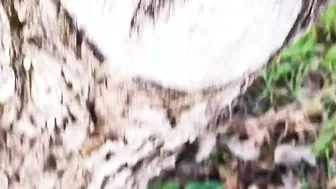 Hand job outdoors