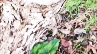 Hand job outdoors
