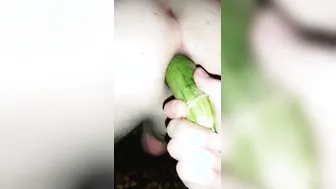 Vegetable Party two. Fucking butt whores
