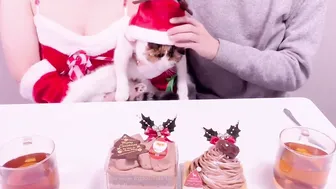 I tried to commit Santa who appeared at Christmas/我试图犯下出现在圣诞节的圣诞老人