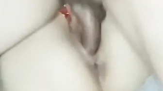 Rebota y Rebota