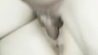 Rebota y Rebota